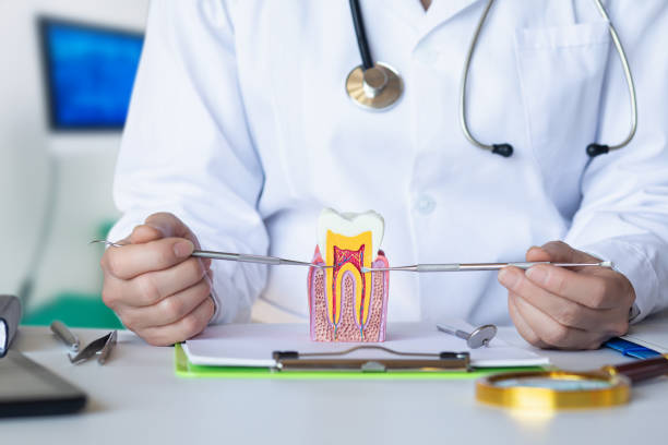 Best Knocked-Out Tooth (Avulsed Tooth) Treatment in Paradise Valley, AZ